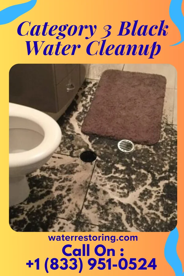 Category 3 Black Water Cleanup in Zaleski, OH