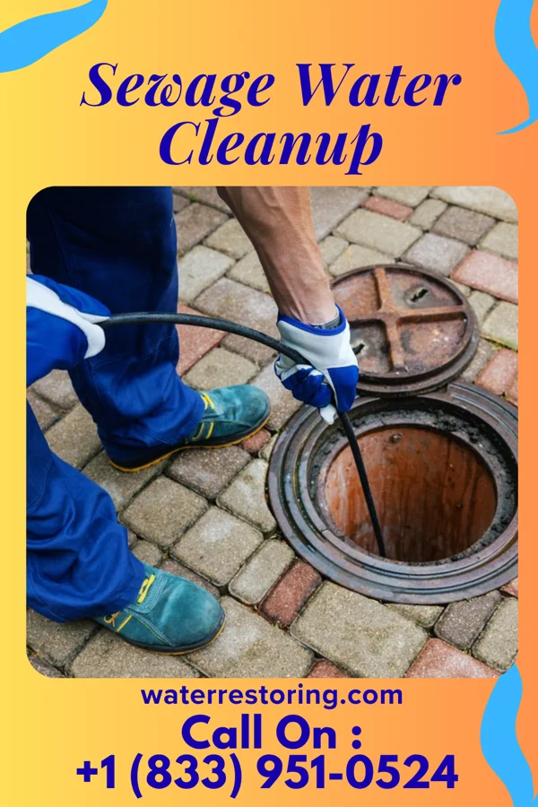 Sewage Water Cleanup in Zaleski, OH