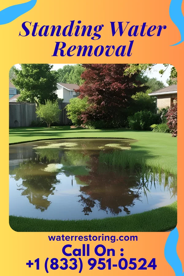 Standing Water Removal in Zaleski, OH